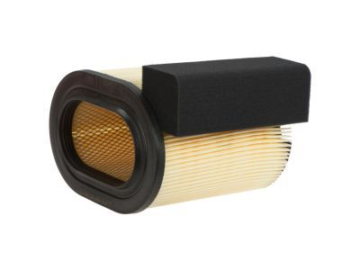 Ford Super Duty 6.7l V8 Engine Air Filter 16-19