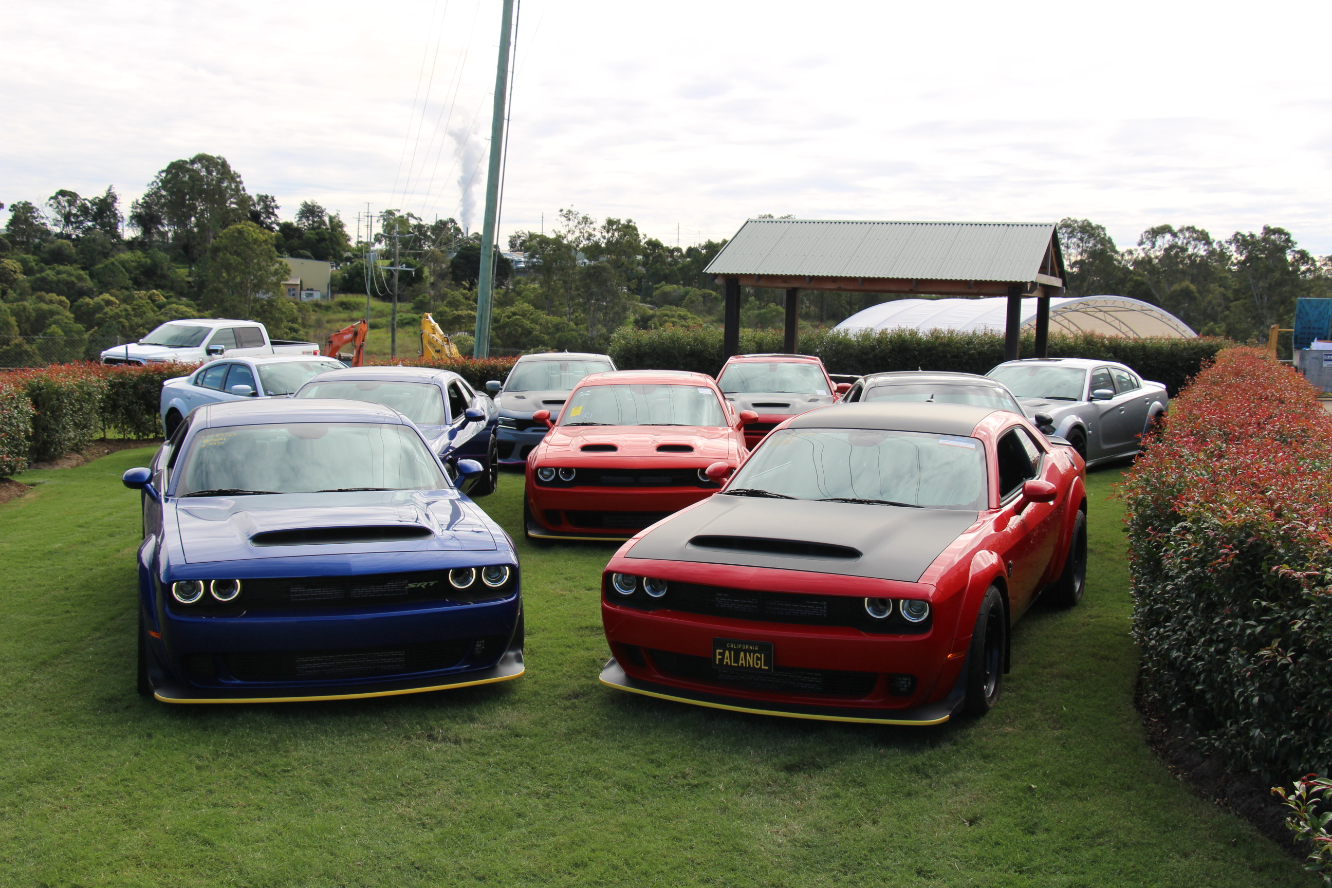 Performax Dodge Showroom